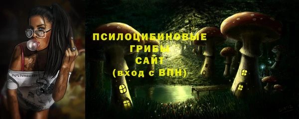 ПСИЛОЦИБИНОВЫЕ ГРИБЫ Балабаново