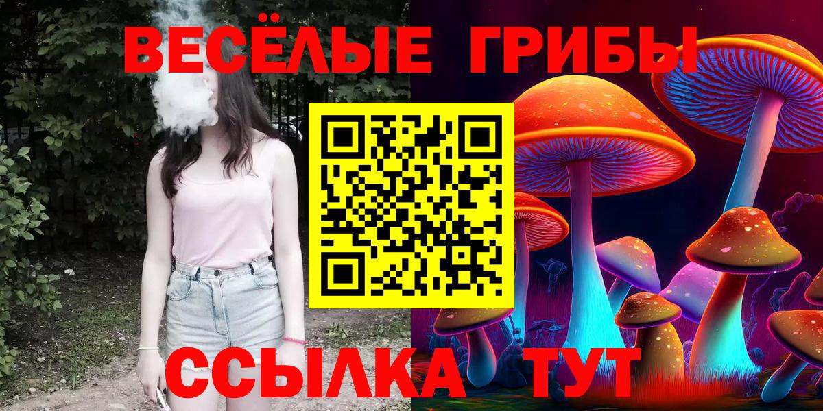 Псилоцибиновые грибы Cubensis Видное