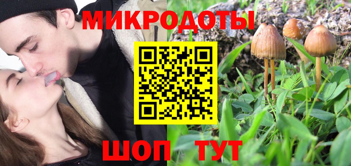 Видное  Псилоцибиновые грибы Cubensis  купить наркотик  Вход с VPN  Псилоцибиновые грибы мицелий 